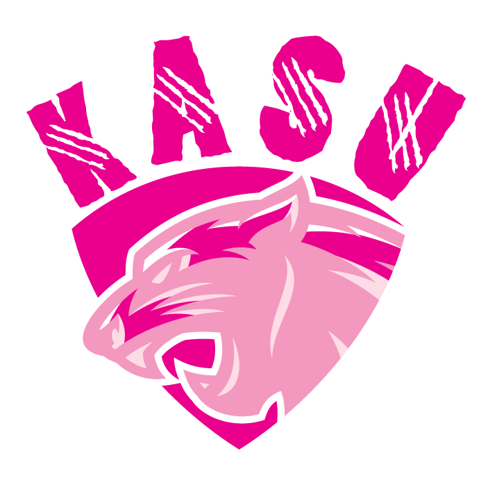 Transporte Kasu